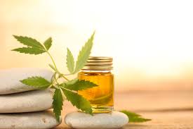 GETTING THE RIGHT CBD OIL FOR YOU